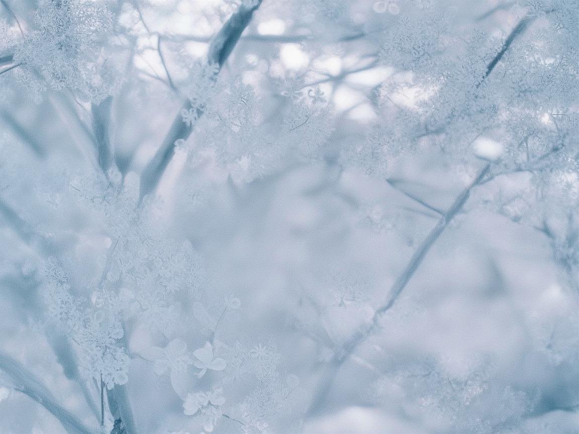 香槟色光芒下的无人机电动机组