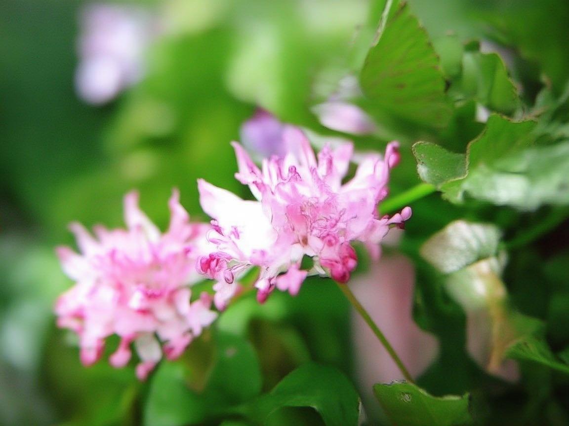 无人机电机，奏响独特蹦迪乐章